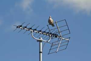 How to choose a TV antenna