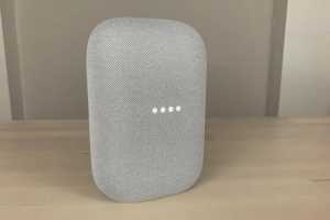 Google rolls back Nest speaker group restrictions after legal win